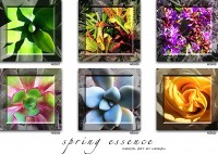 /album/gallery-one/spring-essence-2-jpg1/